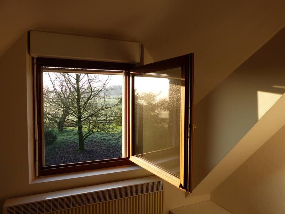 Studio Dans Une Chaumiere De Caractere Baud Zewnętrze zdjęcie
